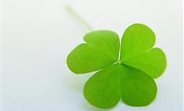 喜欢自由，喜欢玩乐，喜欢游荡在花花草草之间，生性花心的三星座