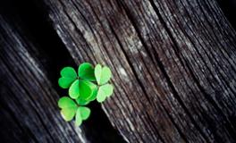 太阳进入巨蟹座｜创造属于自己的温馨生活