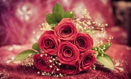 爱莎公主一周星座运势(6.27-7.3)