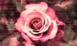 结婚后需要改变自己的三大星座女