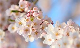 性格敏感防备心强，缺少安全感的3个星座