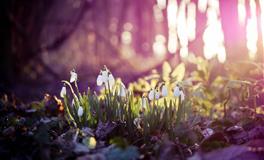 最有心机的三大星座，喜欢背后算计人，千万别去招惹