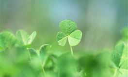 表面看起来很随和，实则内心诡计多端，最腹黑的三大星座