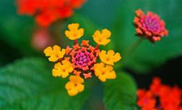 2022下半年，12星座拥有【桃花好气色】的穿搭