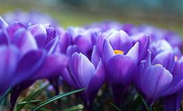 娜迪亚处女座本周运势（6.27–7.3）