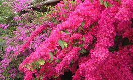 大难临头各自飞，最靠不住的三大星座