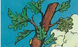 爱莎公主双子座一周运势（6.27-7.3）