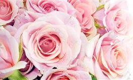 苏珊米勒每日运势2022年6月2日