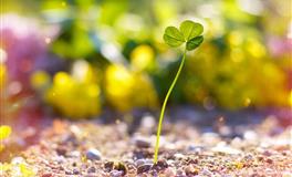 闹闹女巫店天秤座一周运势(6.6-6.12)