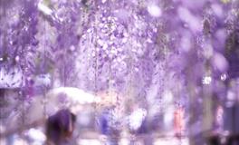 端午节：辟邪旺运方法，你知道几个？