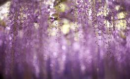 如何跟双子座谈恋爱