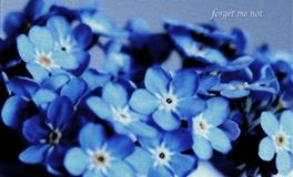 如何跟天蝎座谈恋爱