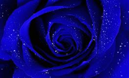 总做老好人的几大星座，为了别人活得超累