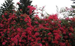 苏珊米勒每日运势2022年7月20日