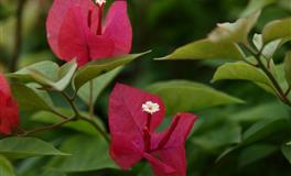 帕特里克12星座一周爱情运势（7.18-7.24）