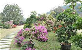 静电鱼双子座一周运势(7.25-7.31)