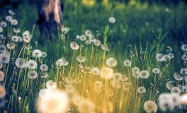 2022年下半年，12星座会与哪些好运相遇？