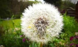 杀破狼双子座一周运势（7.25-7.31）