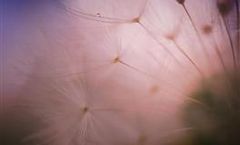 沟通会有大障碍的星座组合