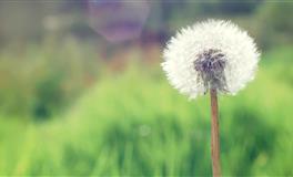 心冷如冰的3个星座女，她们的心很难捂热！