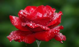 星座女神2022下半年星座运势