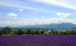 苏珊米勒每日运势2022年7月22日