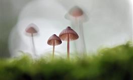 杞人忧天，爱瞎操心的三大星座