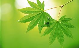 知错能改善莫大焉！懂得自我反省的三大星座