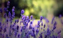 缺乏恒心毅力，最不适合的星座，有你的吗？