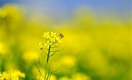 走的进心里却走不到身边，哪些星座女是最好的红颜知己