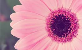 四大血型跟风潮流的指数！