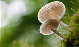 裴恩占星天秤座一周运势（7.11-7.17）