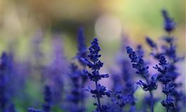 能同甘共苦的三大星座，不离不弃值得珍惜！