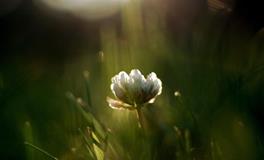 苏珊米勒2022年7月金牛座运势完整版