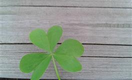 Pandora占星小巫12星座一周塔罗运势（7.4-7.10）