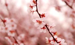 爱美第一名，很注重自身形象的几大星座