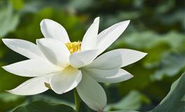 怪奇预言：情人“最喜欢”和“最不喜欢”你的哪种恋爱性格？