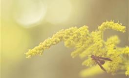 郑博士下周财运大旺的几大属相（7.4-7.10）