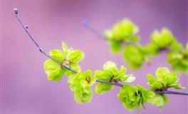 闹闹女巫店天秤座2022年7月运势