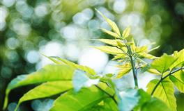 展钰凝白羊座一周运势（7.4-7.10)