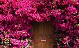 Pandora占星小巫天秤座2022年7月运势