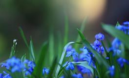 喜欢冷暴力，只会生闷气的三大星座