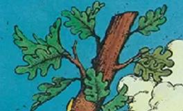 爱莎公主水瓶座一周运势(8.1-8.7)