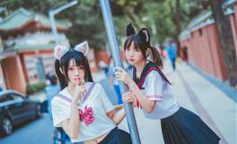 占星骑士白羊座星座职场运势（11.24-12.22）