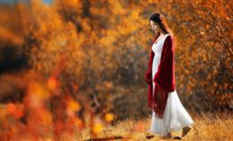 羲邑师姐生肖兔2023年运程