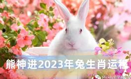 熊神进2023年生肖兔运势详解