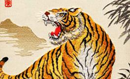 属虎的男生和属羊的女生，缘分指数是多少