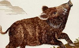 属猪的男生和属鸡的女生，缘分指数是多少