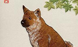 与属狗的人最般配的属相