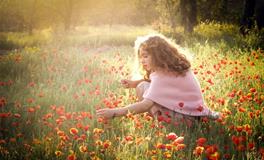 嫉妒让这几个星座不甘人后，最终成为王者